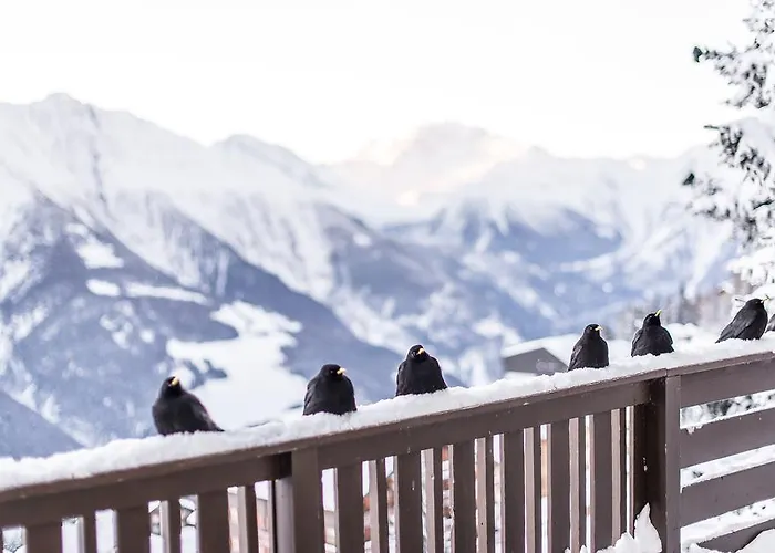 Daire Harmony Eg Süd-ost