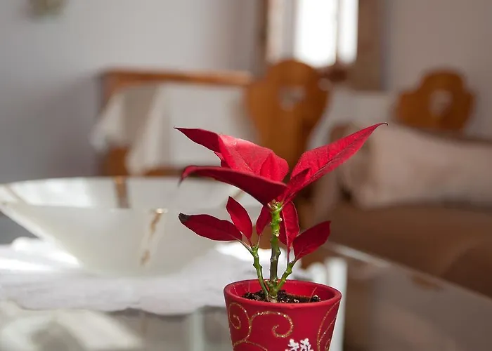 Daire Harmony Eg Süd-ost Bettmeralp