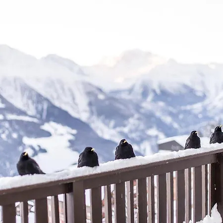 Apartamento Harmony Eg Sued-ost